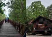 Jembatan Mangrove PPU Bakal Diperpanjang hingga Menghadap Laut