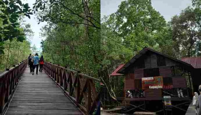 Jembatan Mangrove PPU Bakal Diperpanjang hingga Menghadap Laut