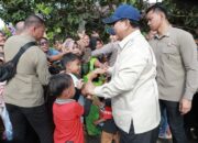Pastikan Pemulihan Pascabencana, Presiden Prabowo Kunjungi Daerah Terdampak di Sumatra dan Aceh