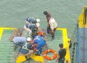 Diduga Korban Pemerasan di Medsos, Penumpang Feri di Penajam Nekat Terjun ke Laut