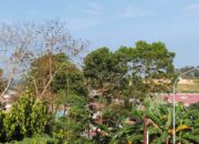 Balikpapan Masih Menanti Hujan, Prakiraan Cuaca Sepanjang Hari Berawan