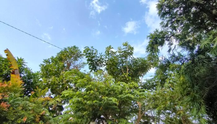 Cuaca Kaltim Hari Ini, Waspada Hujan di Jalur Arus Balik Lebaran 30 Maret 2026