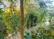 Balikpapan Bakal Dikepung Hujan Ringan Hari Ini, Kelembapan Tinggi