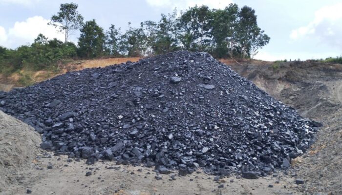 Tambang Ilegal Serobot 6 Hektare Lahan di Loa Kulu Kukar, 3 Ribu Ton Batu Bara Menumpuk