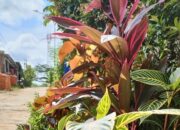 Cuaca Balikpapan Hari Ini, Daftar Wilayah yang Diprediksi Hujan Petir