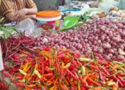 Sempat Harga Capai Rp100 Ribu per Kilogram, Kini Cabai di PPU Berangsur Normal