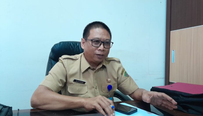 Produksi Cabai PPU Surplus, Distan Pastikan Cukup Penuhi Kebutuhan Ramadan