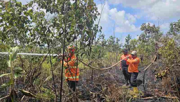 Musim Kering Mengintai, BPBD PPU Siagakan Pasukan Hadapi Ancaman Karhutla