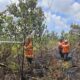 Musim Kering Mengintai, BPBD PPU Siagakan Pasukan Hadapi Ancaman Karhutla