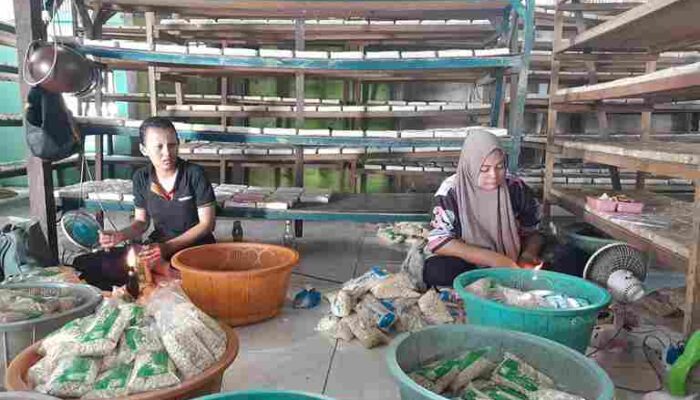 Kedelai dan Plastik Naik, Produsen Tempe di Penajam Kurangi Isi dan Produksi