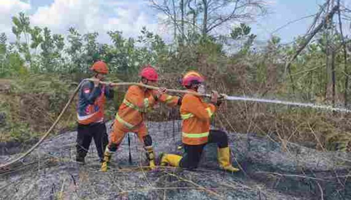 Karhutla Kembali Terjadi di PPU, 0,25 Hektare Lahan Terbakar