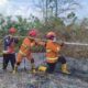 Karhutla Kembali Terjadi di PPU, 0,25 Hektare Lahan Terbakar