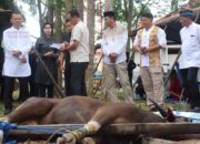 Polres PPU Sembelih Lima Ekor Sapi Kurban, Tebar Kepedulian di Iduladha 1447 H‎