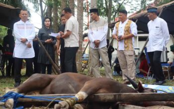 Polres PPU Sembelih Lima Ekor Sapi Kurban, Tebar Kepedulian di Iduladha 1447 H‎