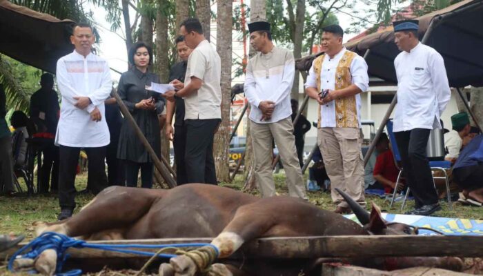 Polres PPU Sembelih Lima Ekor Sapi Kurban, Tebar Kepedulian di Iduladha 1447 H‎