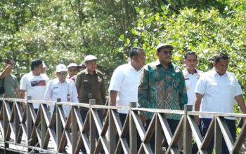 Setditjen PDASRH Siap Kolaborasi Bangun Ekowisata Mangrove Kampung Baru PPU