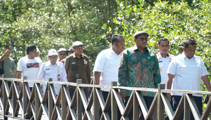 Setditjen PDASRH Siap Kolaborasi Bangun Ekowisata Mangrove Kampung Baru PPU