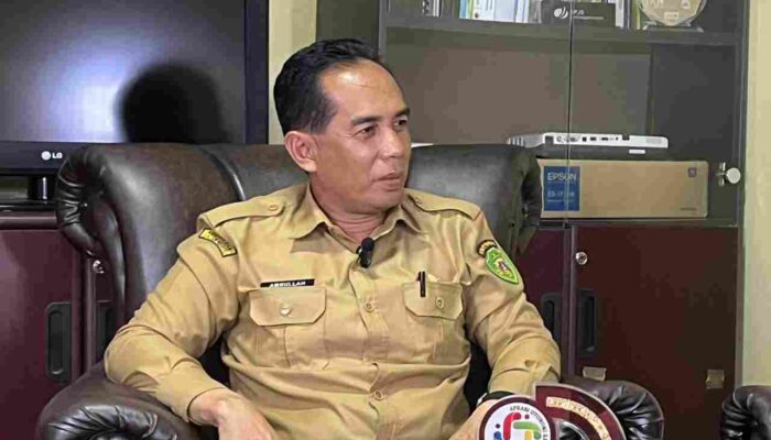 Dampak IKN Makin Terasa, Investasi di PPU Tembus Rp3,7 Triliun‎