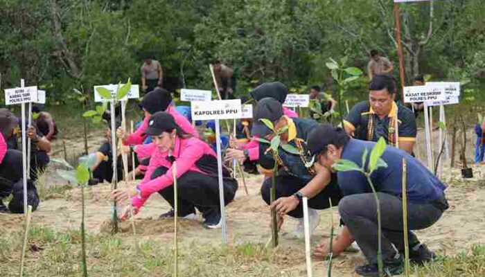 Sambut Hari Bhayangkara ke-80, Polres PPU Tanam 1.000 Mangrove di Pantai Nipah-Nipah‎