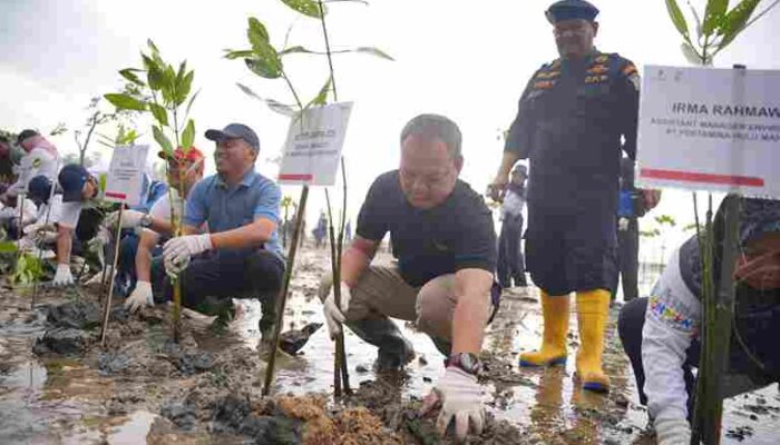 Puncak Peringatan Hari Lingkungan Hidup 2026, PT Pertamina Hulu Mahakam Tanam Mangrove dan Edukasi Masyarakat Tentang Energi Alternatif