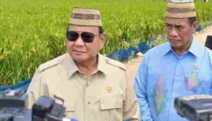 Presiden Prabowo Tegaskan Swasembada Pangan Sudah di Depan Mata, Indonesia Siap Ekspor Beras dan Jagung
