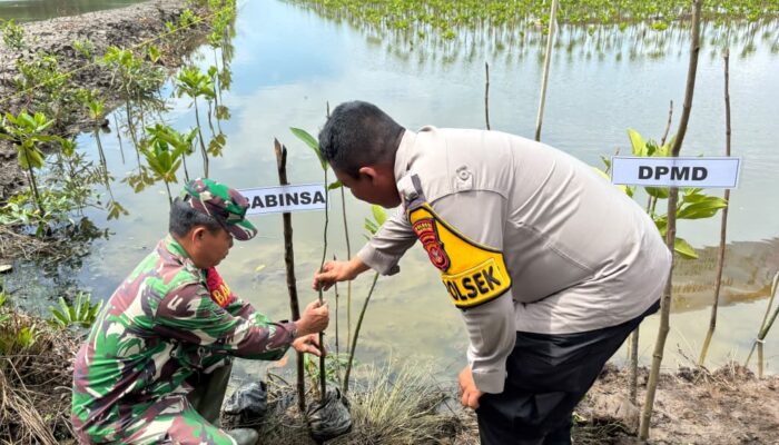 Hari Bhayangkara ke-80, Polres PPU Tanam Mangrove di Pesisir Babulu Laut untuk Cegah Abrasi
