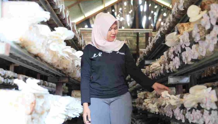 Kembangkan Program CSR yang Inovatif dan Berdampak, PT Pertamina Hulu Kalimantan Timur Terima Penghargaan dari Pemkab Penajam Paser Utara