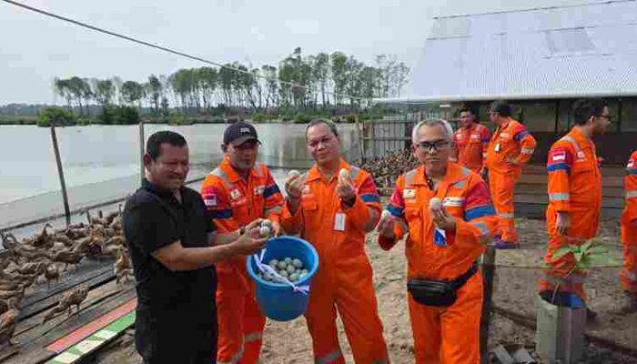 Kembangkan Ekonomi Sirkular, PT Pertamina Hulu Mahakam Manfaatkan Sampah Organik Sisa Makanan Pekerja untuk Pakan Ternak Masyarakat
