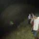 Buaya Muncul di Sungai Kapao PPU, Polsek Penajam Turun Tangan Bersama Tim Gabungan