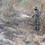 Dandim PPU Pimpin Pemadaman Karhutla di Kawasan Deliniasi IKN, Bara Api Masih Tersembunyi