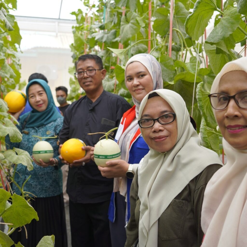 Dari Sayuran ke Melon Premium, PT Pertamina EP Sangasanga Field Dukung KWT Rosella Kembangkan Pertanian Hidroponik