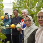 Dari Sayuran ke Melon Premium, PT Pertamina EP Sangasanga Field Dukung KWT Rosella Kembangkan Pertanian Hidroponik