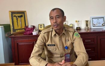 Bidik Peluang Ekonomi dari Kawasan IKN, Pemkab PPU Tawarkan Enam Proyek Investasi di MIF 2026
