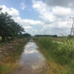 Jaringan Irigasi PPU Masih Terbatas, Bapelitbang Soroti Risiko Alih Fungsi Lahan
